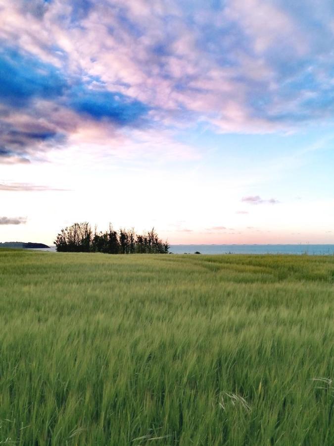 Le Ti'Nid - Gite De Charme - Vue Mer Langueux Exterior foto